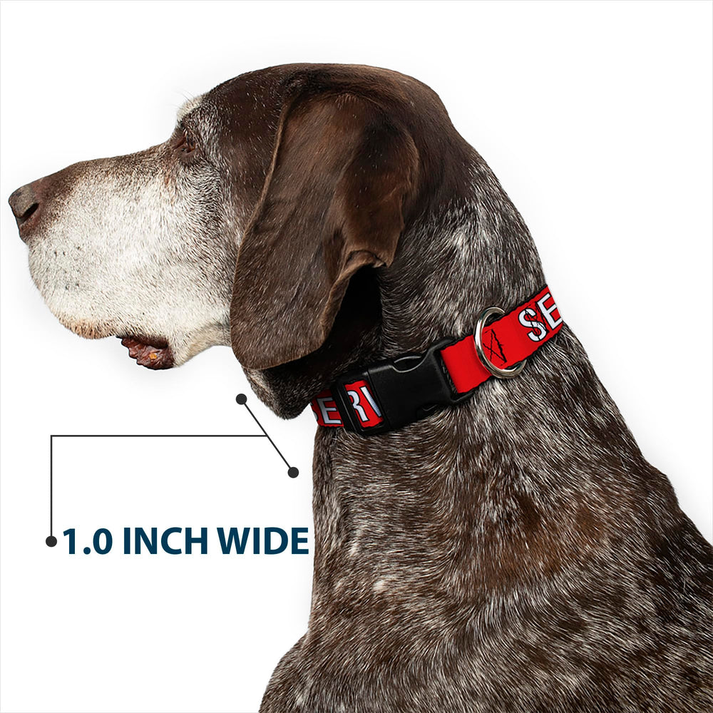 Collar Buckle-Down con licencia oficial, estilo único y distintivo