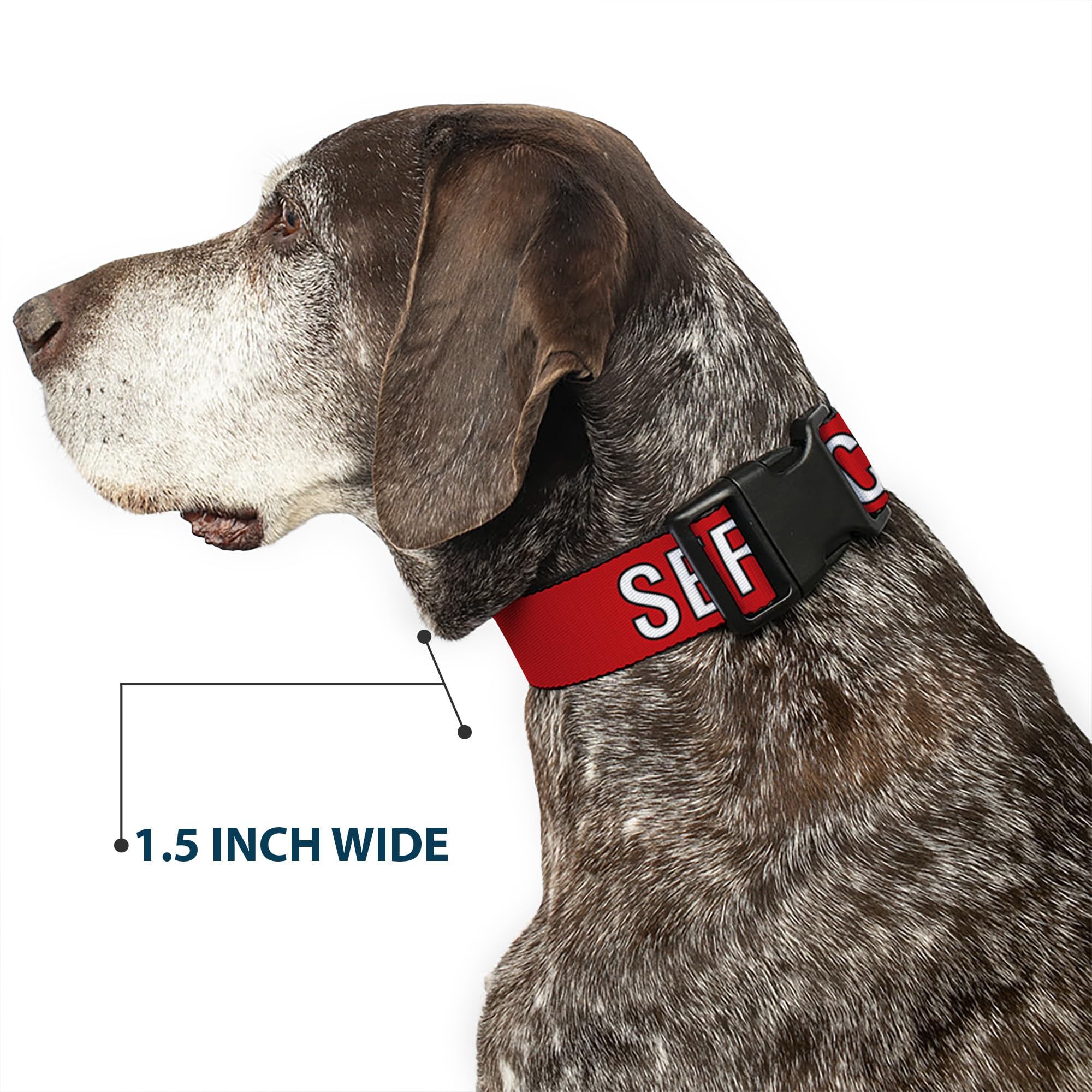 Collar Buckle-Down con texto de servicio para identificación