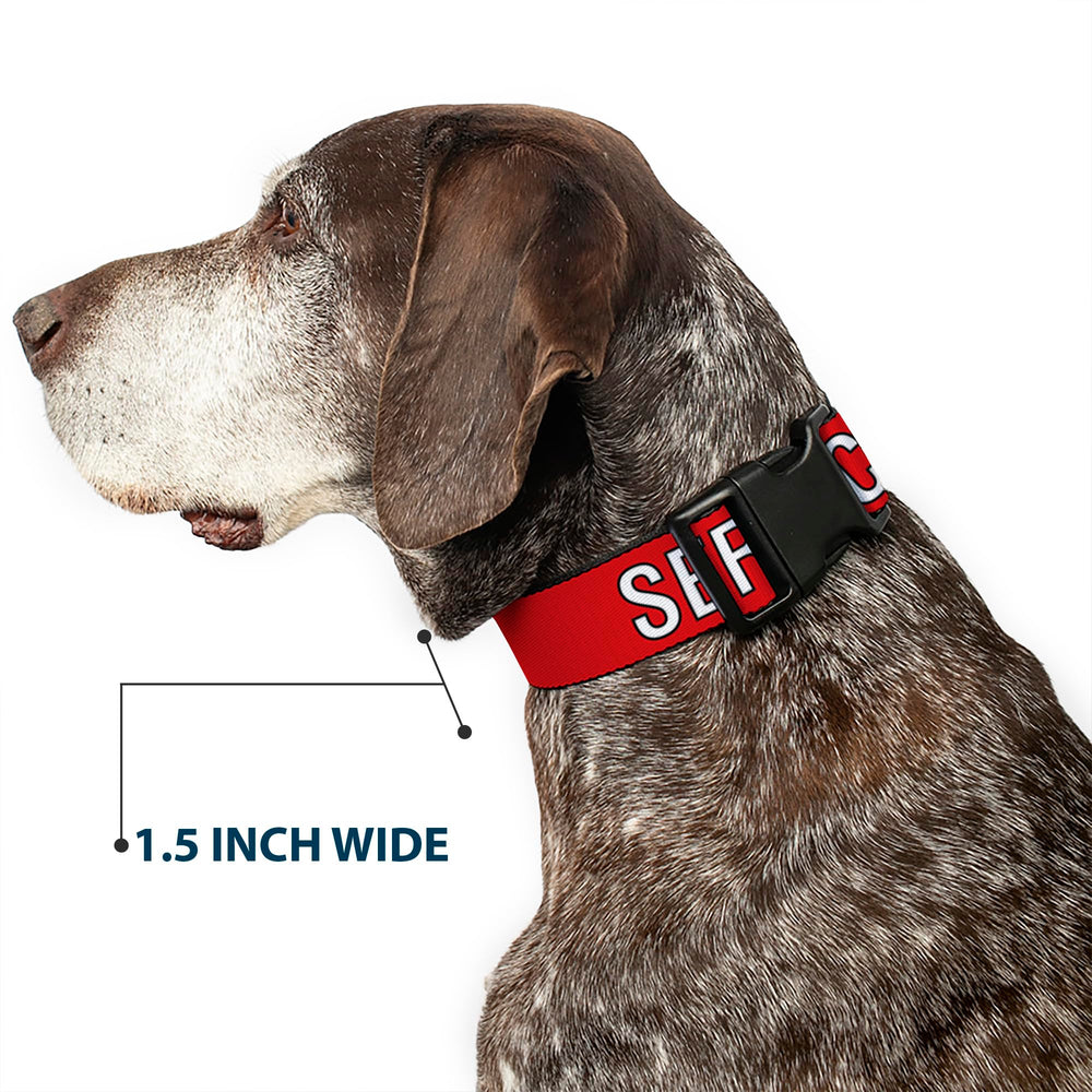 Collar Buckle-Down con texto de servicio para identificación
