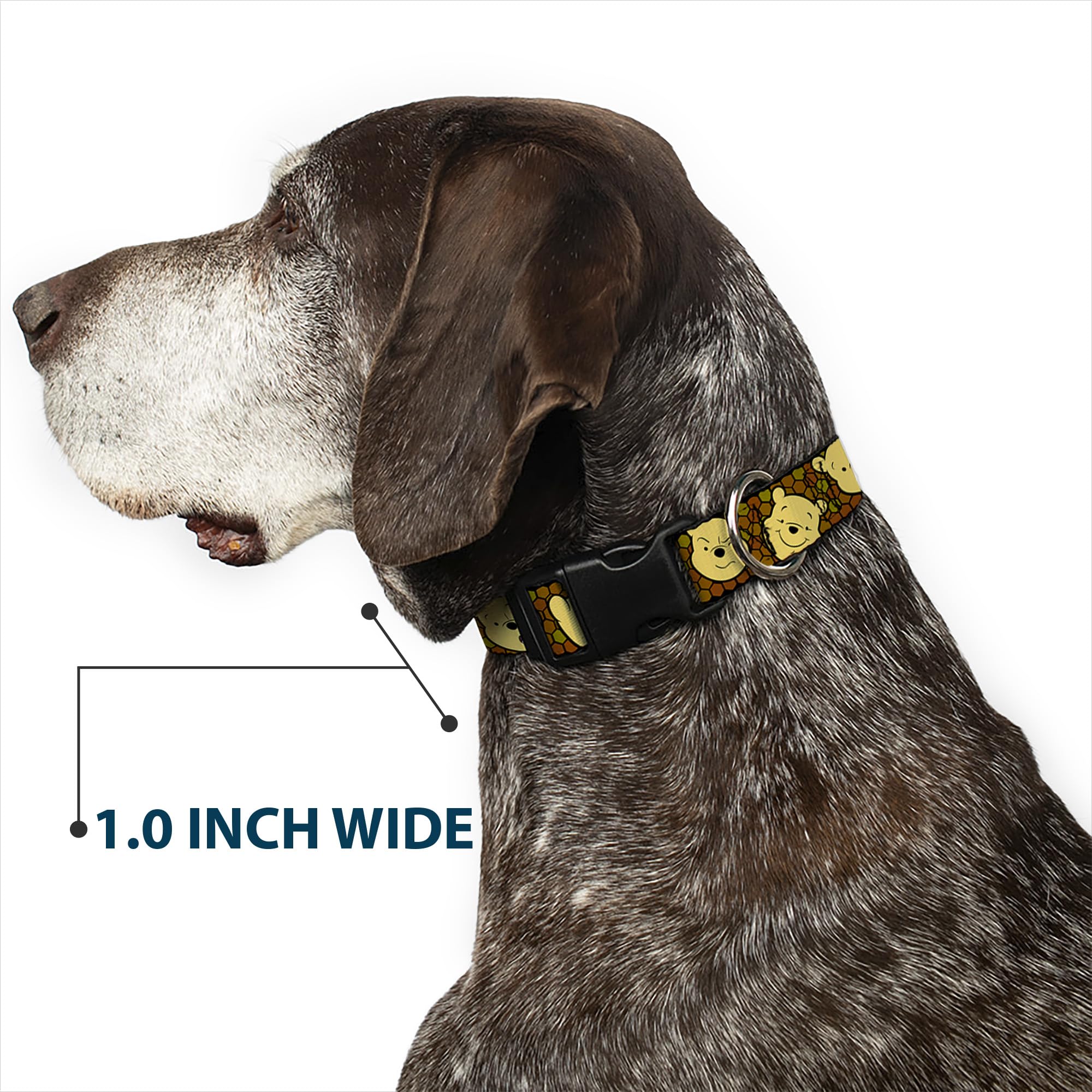 Collar Buckle-Down con motivo Pooh para mostrar personalidad.