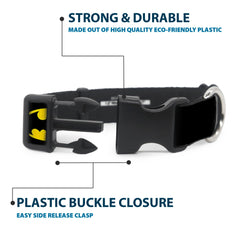 Collar Buckle-Down ideal para paseos diarios y sesiones de fotos