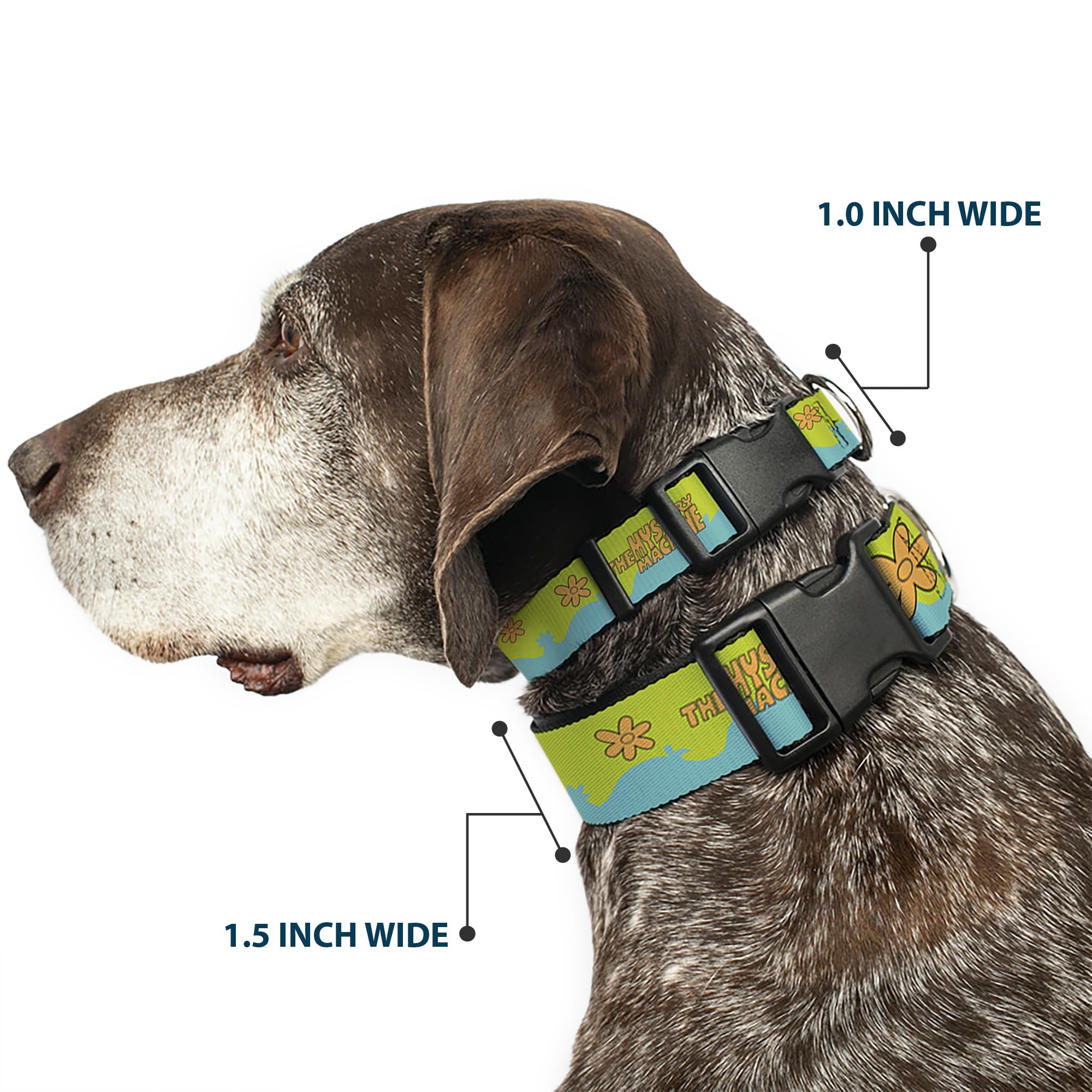 Collar Buckle-Down Scooby Doo con anilla D resistente para paseos diarios.