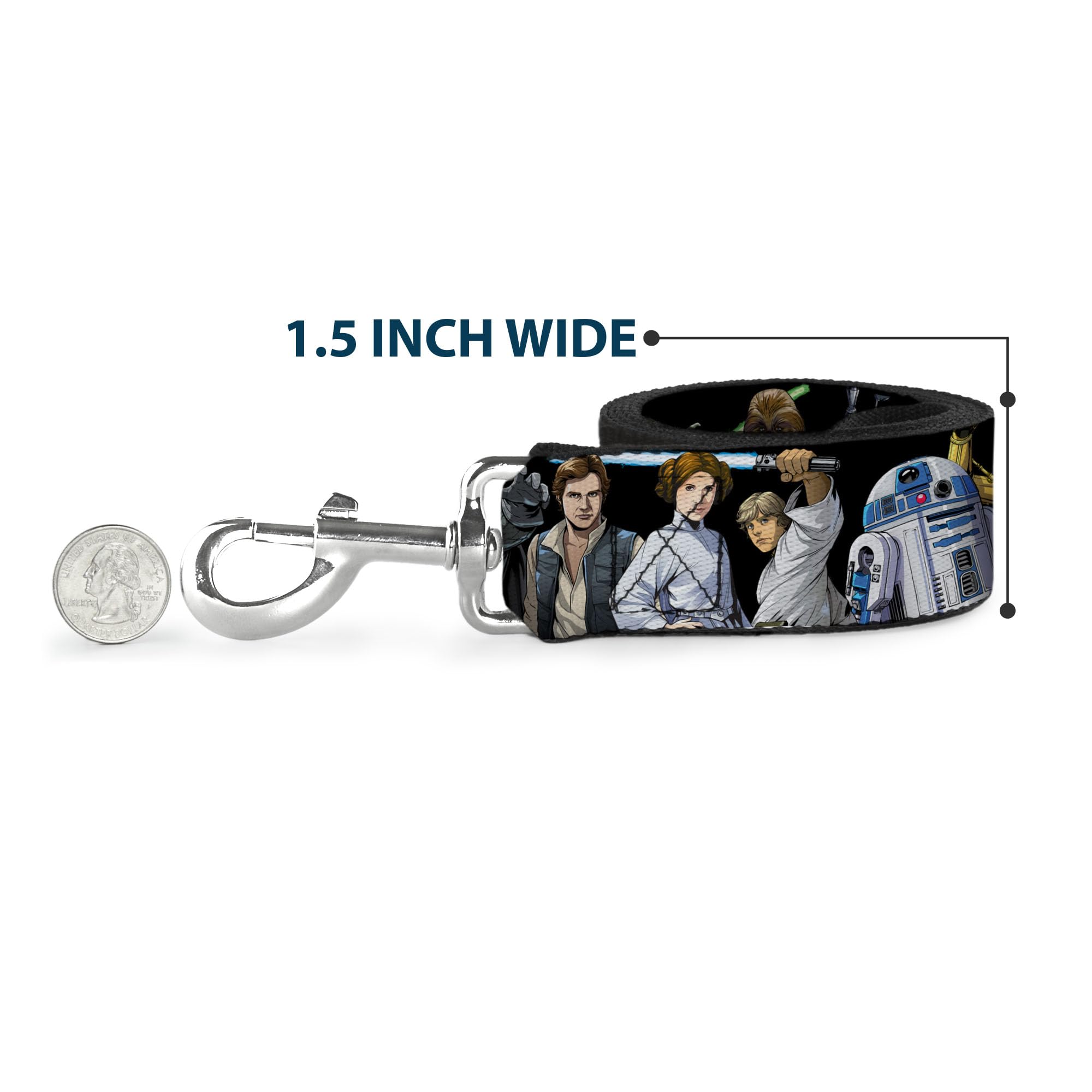 Compatible con collares a juego Buckle-Down para conjunto coordinado