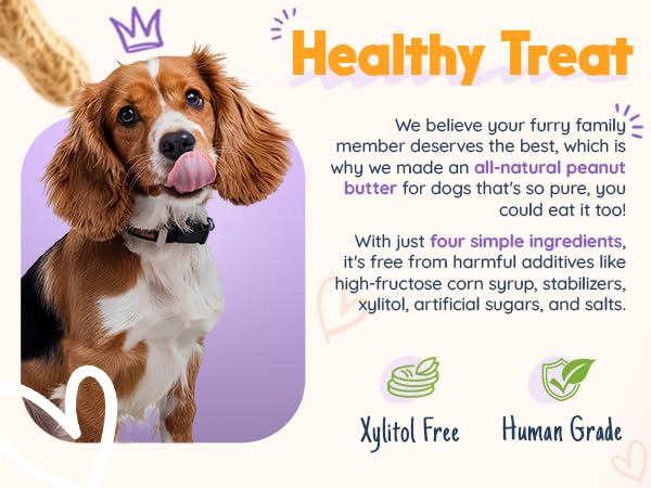 BUDDY BUDDER Barkin Banana Pumpkin Pup, producido en EE. UU. con ingredientes de calidad.