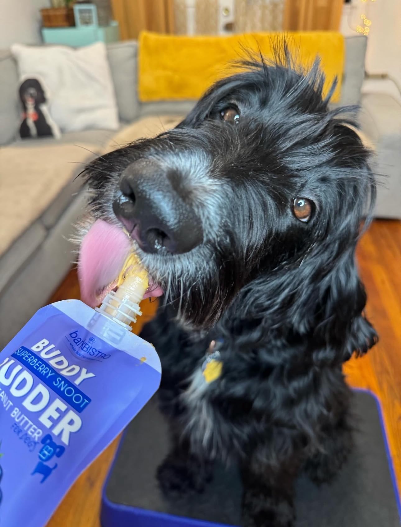 Buddy Budder envase cómodo de 4 oz para llevar en paseos.