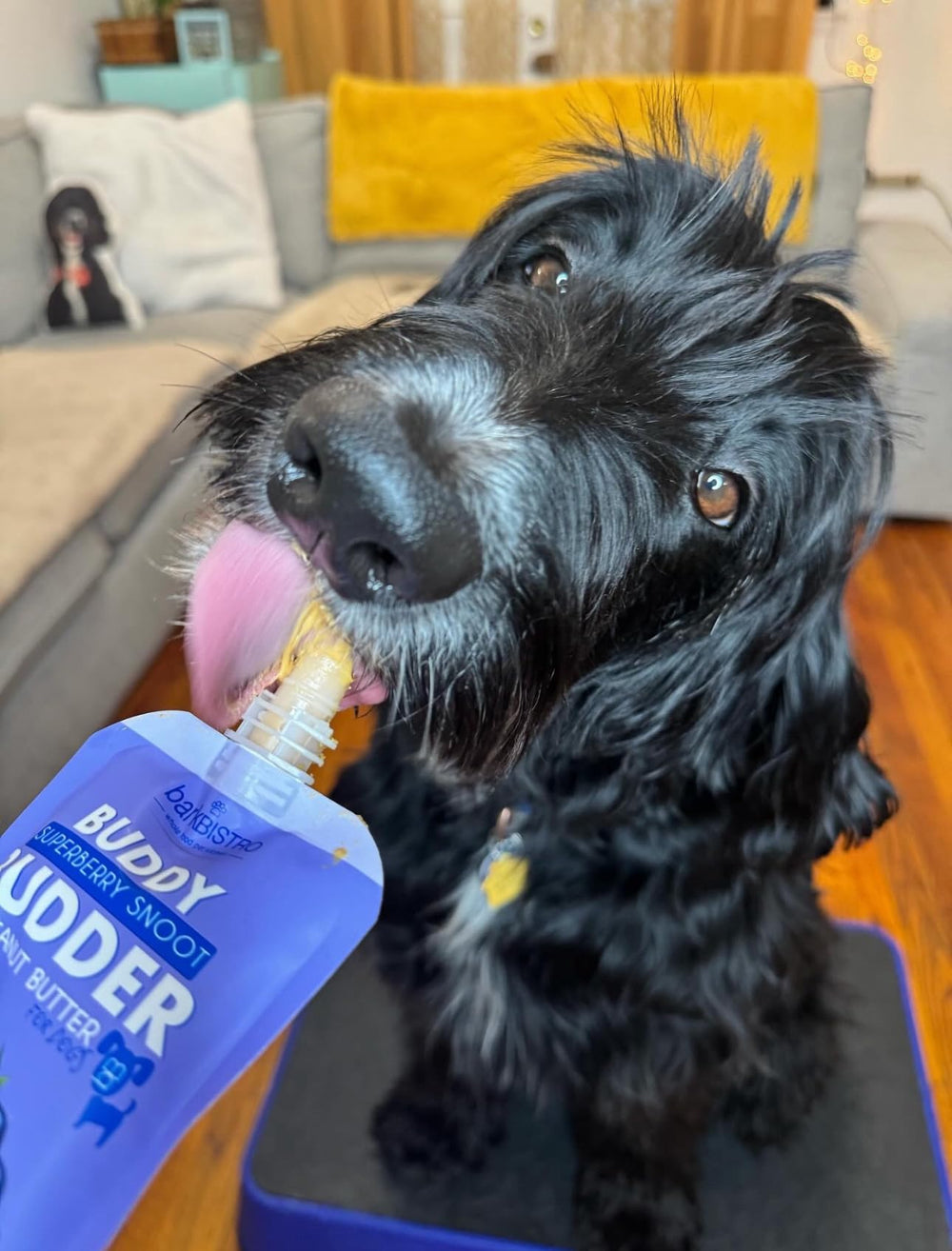 Buddy Budder envase cómodo de 4 oz para llevar en paseos.