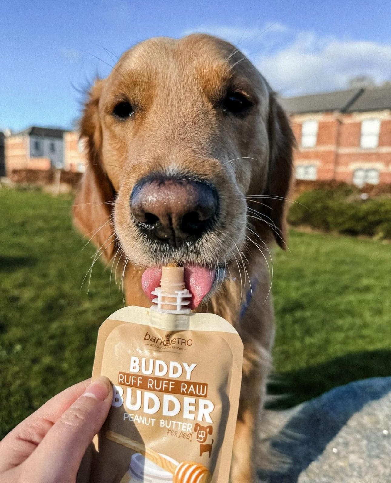 Buddy Budder sin aditivos artificiales, sabor auténtico a maní.