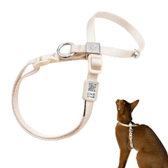 BuddyArmor arnés para gatos anti huida, seguro y cómodo para paseos.