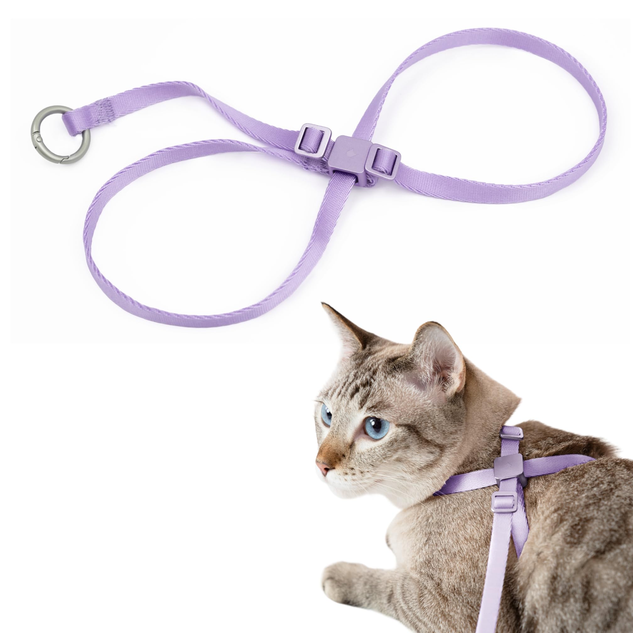 BuddyArmor arnés para gato con cierre de aluminio para paseos seguros.