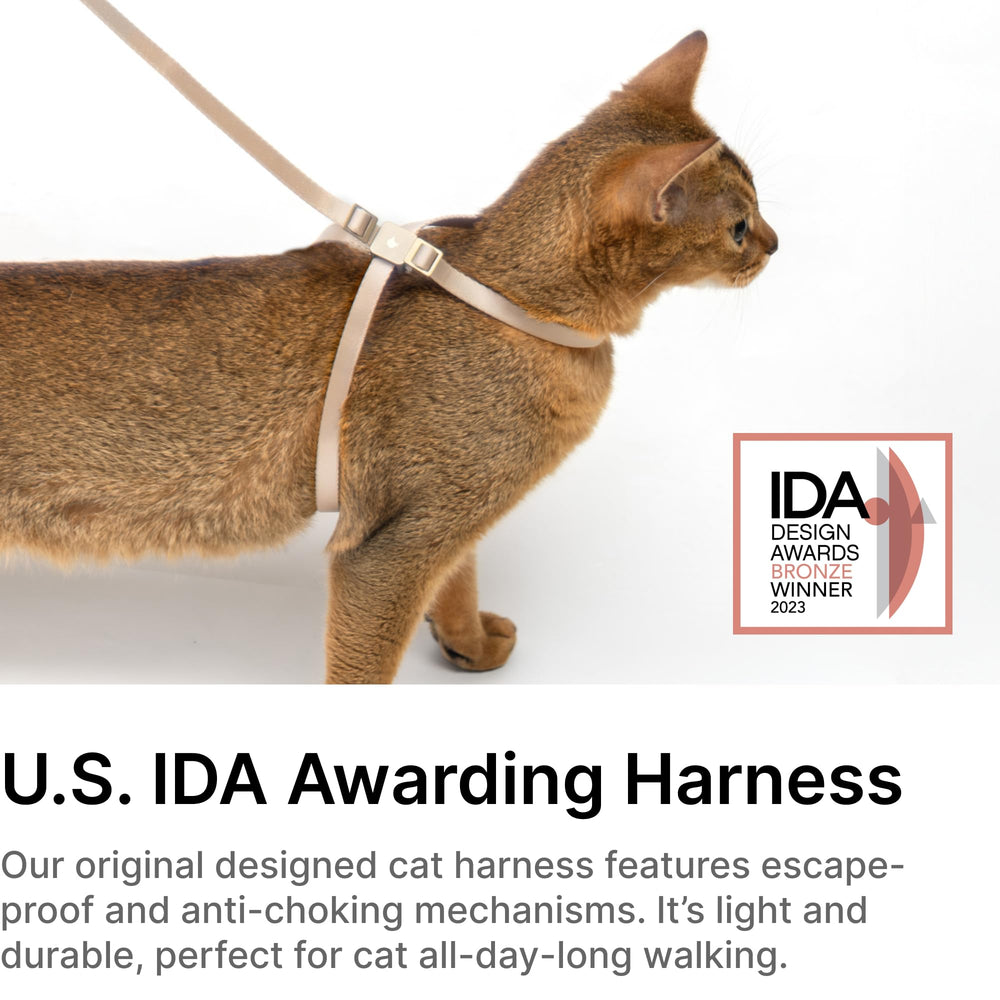 Arnés BuddyArmor anti-escape para gato, cómodo y resistente para salidas.