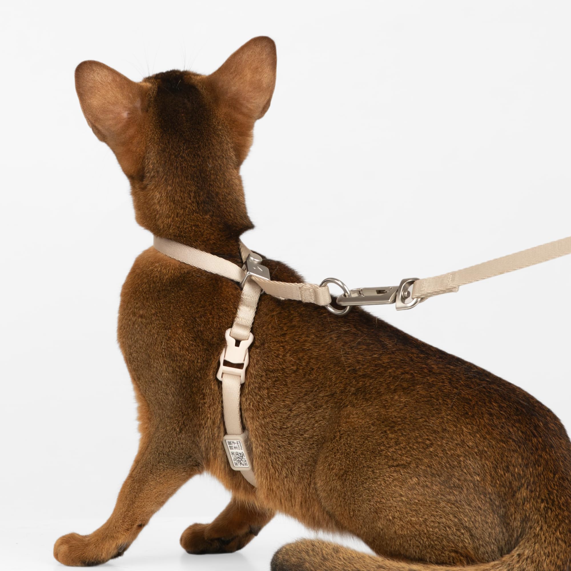 Diseño seguro BuddyArmor para paseos de gatos gracias al ajuste cómodo.