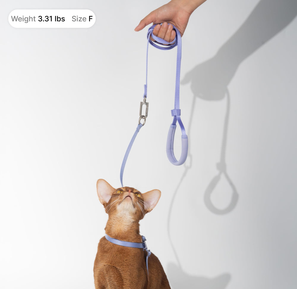 Arnés seguro y duradero de BuddyArmor para gatos al aire libre