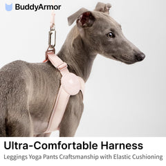 BuddyArmor arnés 4xs ajuste perfecto para razas pequeñas