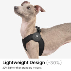 BuddyArmor arnés de diseño minimalista para comodidad diaria