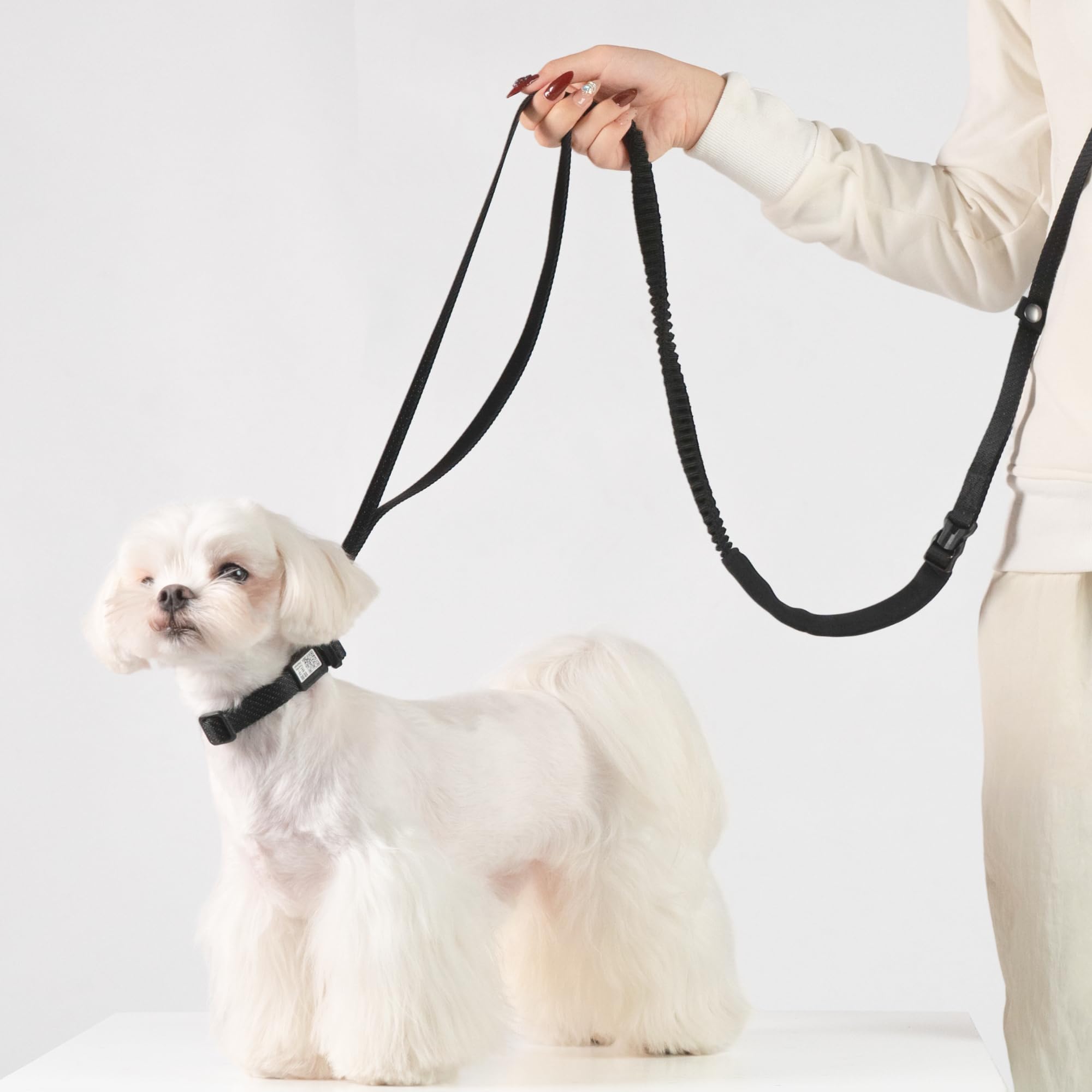 Correa duradera para aventuras al exterior con BuddyArmor.