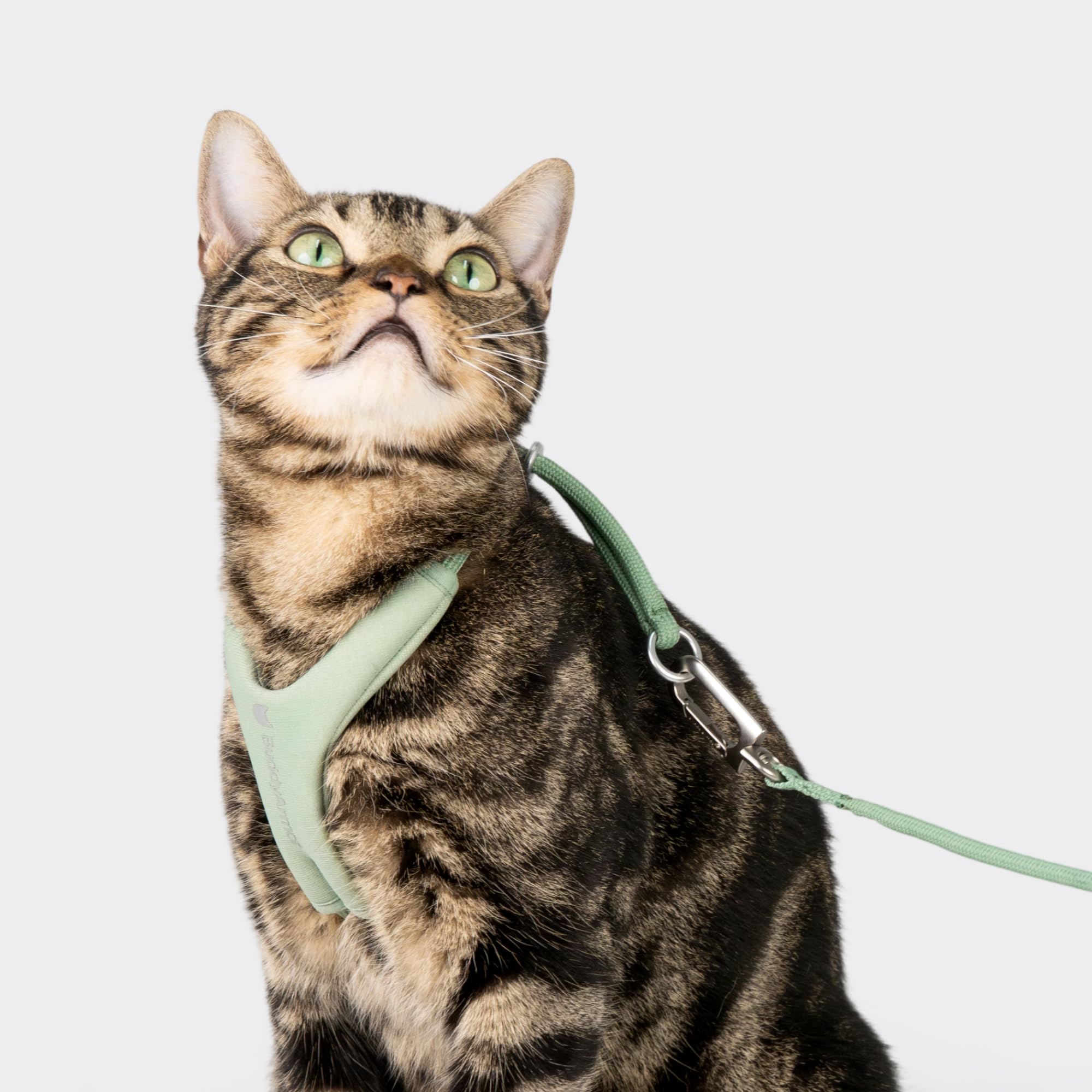 BuddyArmor diseño manos libres para uso en cintura o bandolera.