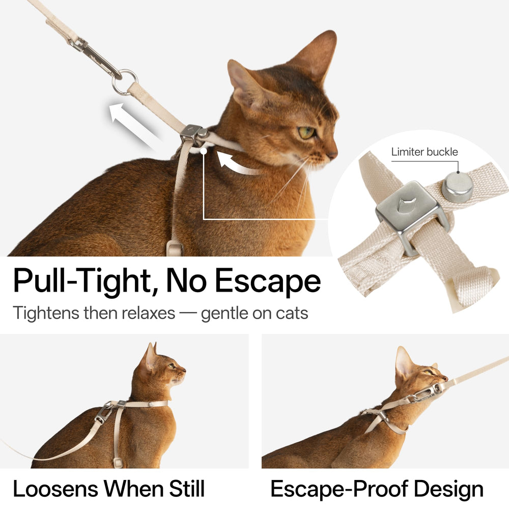 Etiqueta QR BuddyArmor para mascotas facilita acceso a información y ubicación.