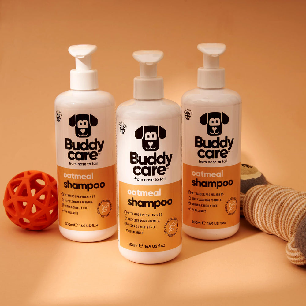 Aplicación Buddycare Champú de Avena para Perros, experiencia de baño suave y agradable.