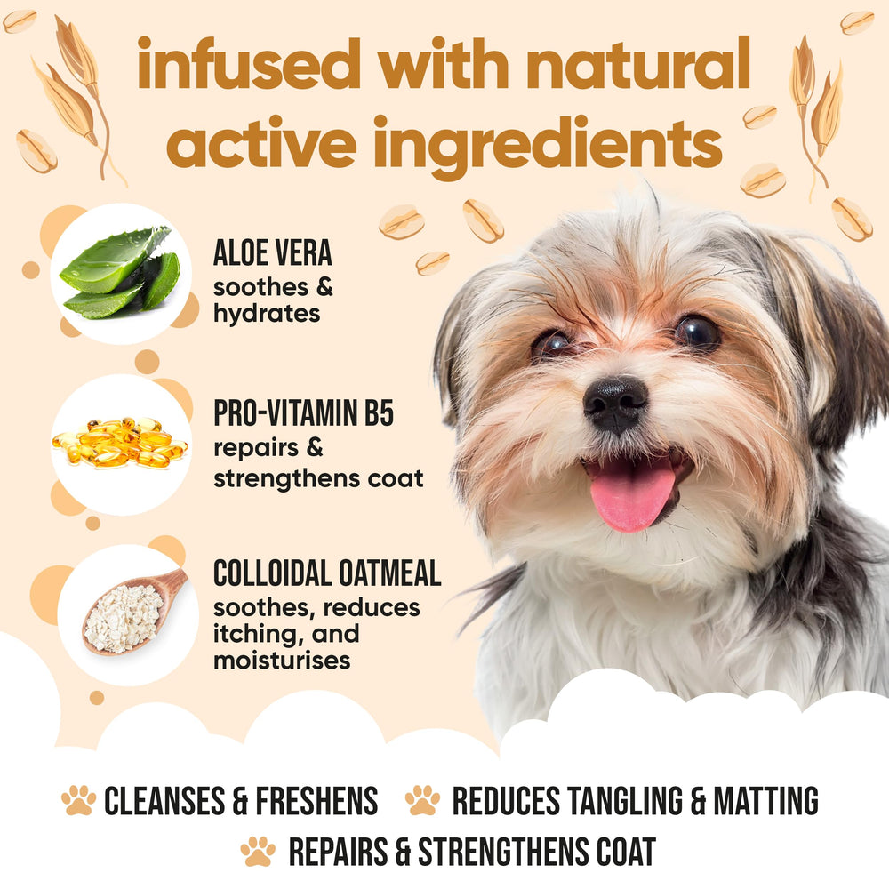 Buddycare Champú de Avena para Perros, espuma rica que limpia sin irritar.