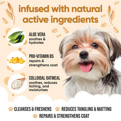 Buddycare Champú de Avena para Perros, espuma rica que limpia sin irritar.