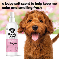 Buddycare colonia perro, aplicación rápida, para refrescar entre paseos.