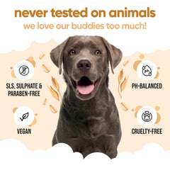 Perro tras baño con Buddycare, pelaje limpio y piel cómoda.