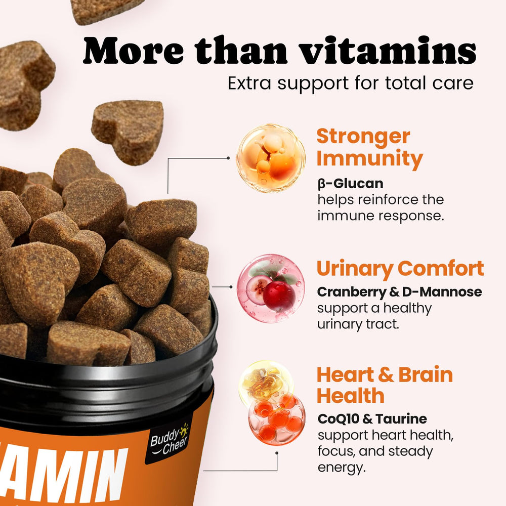  BuddyCheer: antioxidantes y CoQ10 en gomitas, apoyo diario de vitalidad.