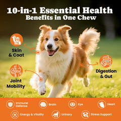  BuddyCheer: suplemento para articulaciones de perro, gomitas masticables que favorecen flexibilidad.