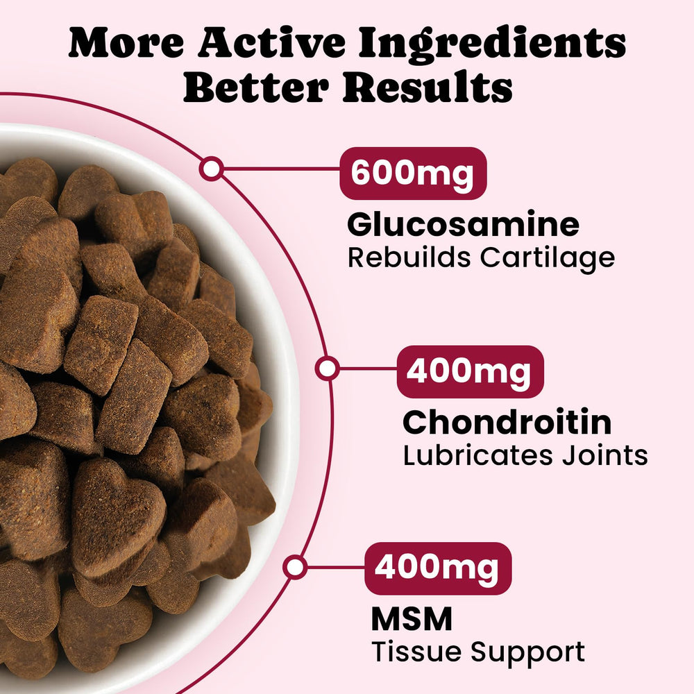 Envase de BuddyCheer Glucosamina con etiqueta clara para perros senior.