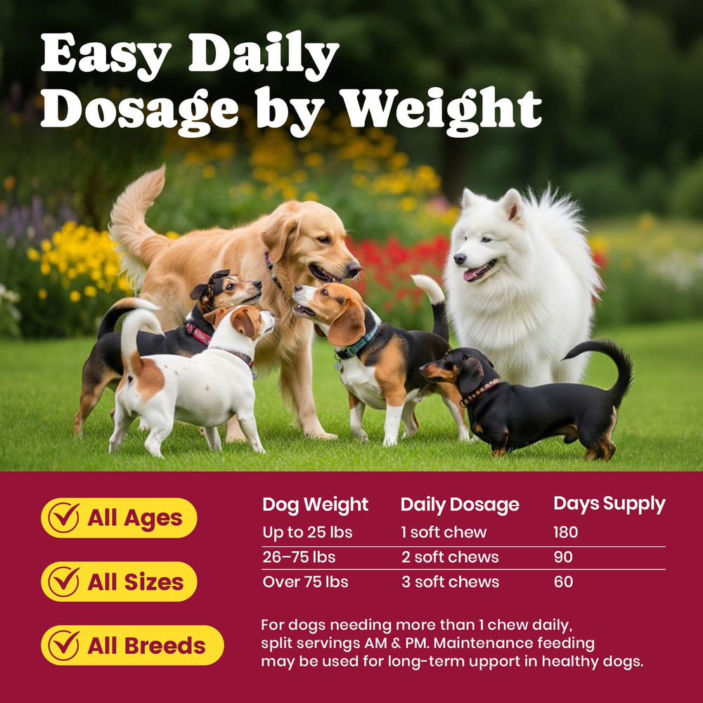 BuddyCheer Glucosamina para perros, dosis conveniente para perros grandes.