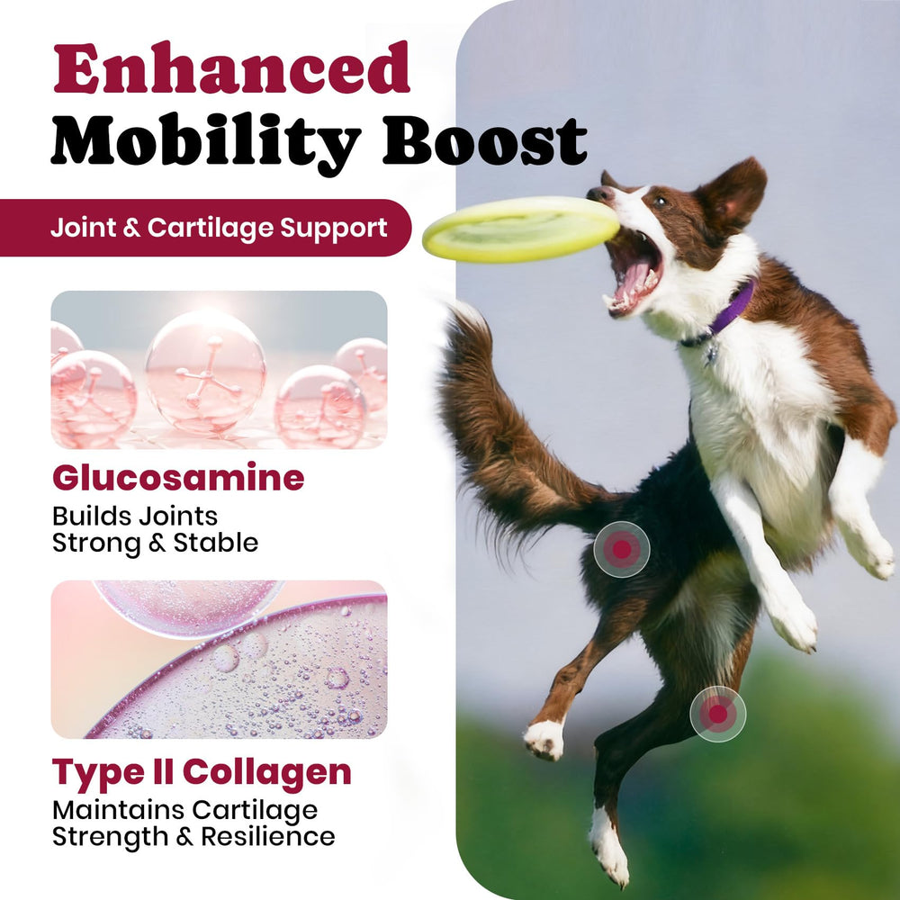 BuddyCheer Glucosamina para perros, etiqueta de ingredientes, ácido hialurónico para lubricación articular.