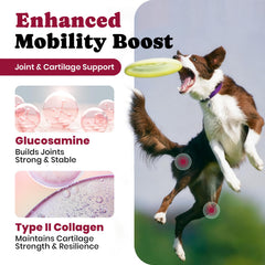 BuddyCheer Glucosamina para perros, etiqueta de ingredientes, ácido hialurónico para lubricación articular.