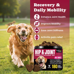 BuddyCheer Glucosamina para perros, masticables en envase, cómodo de administrar.