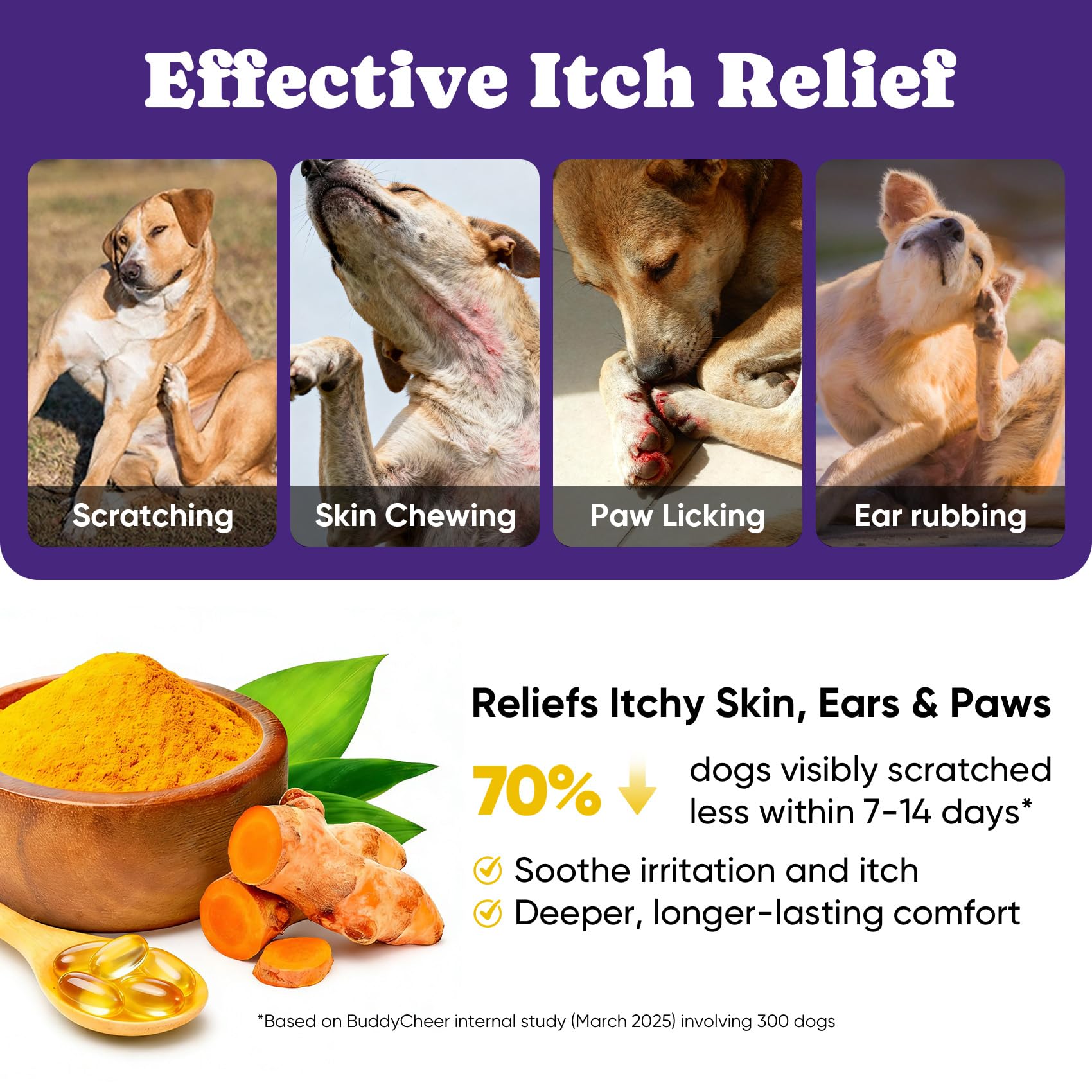 BuddyCheer inmunidad reforzada para perros mediante probióticos y nutrientes clave.