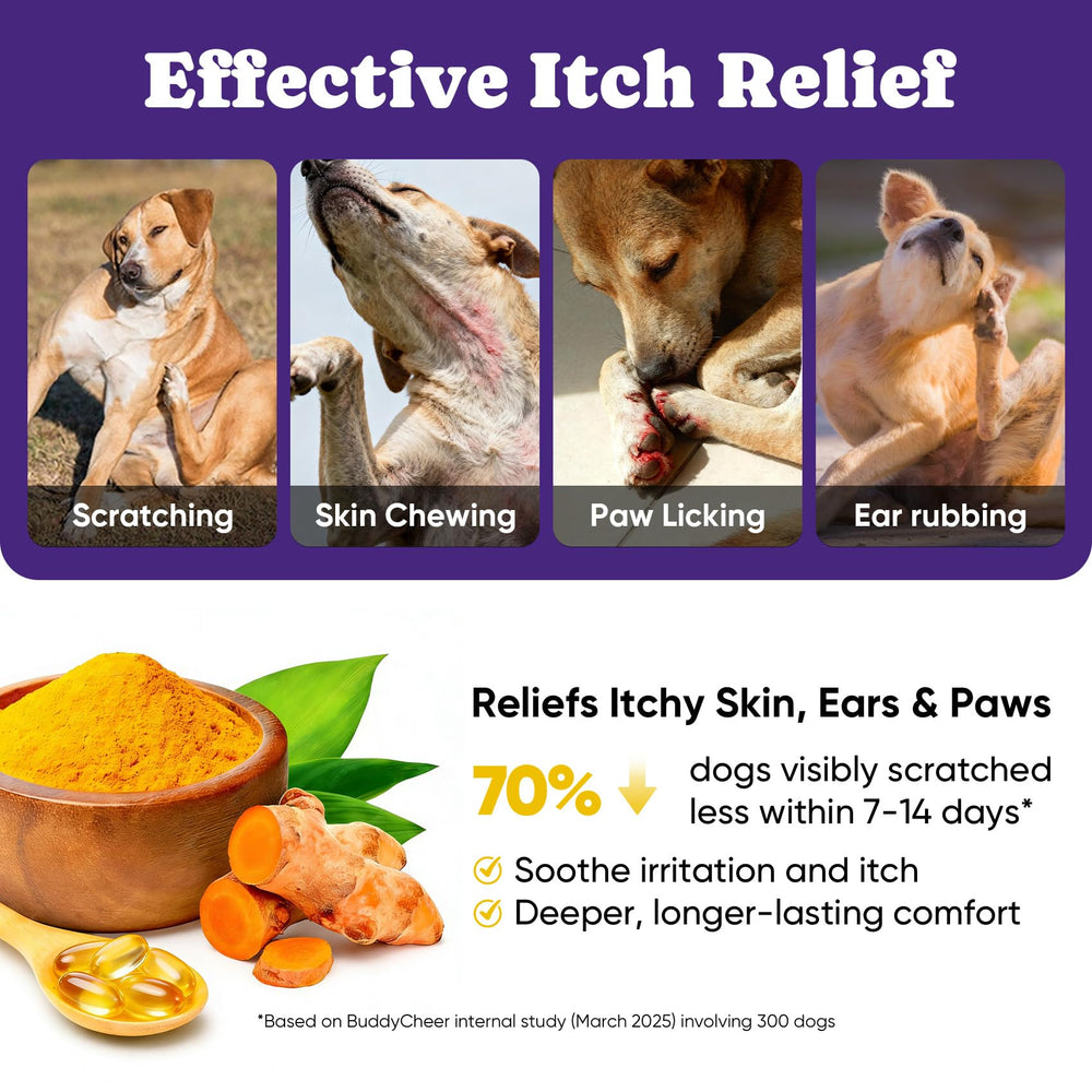 BuddyCheer inmunidad reforzada para perros mediante probióticos y nutrientes clave.