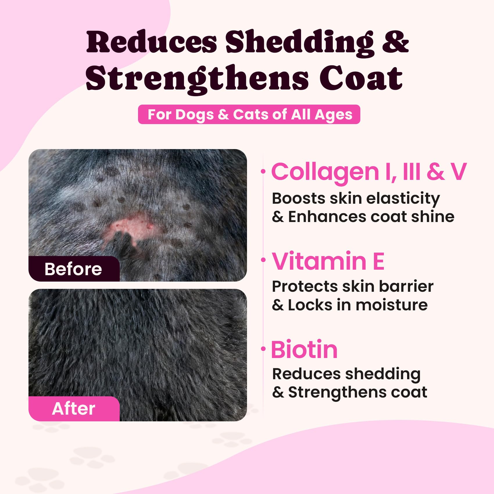 BuddyCheer Péptidos de colágeno de alta absorción para piel suave.
