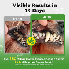 BuddyCheer polvo dental para perros con enzimas y algas para limpieza suave