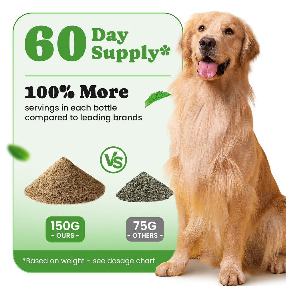 BuddyCheer polvo dental para perros recomendado por veterinarios