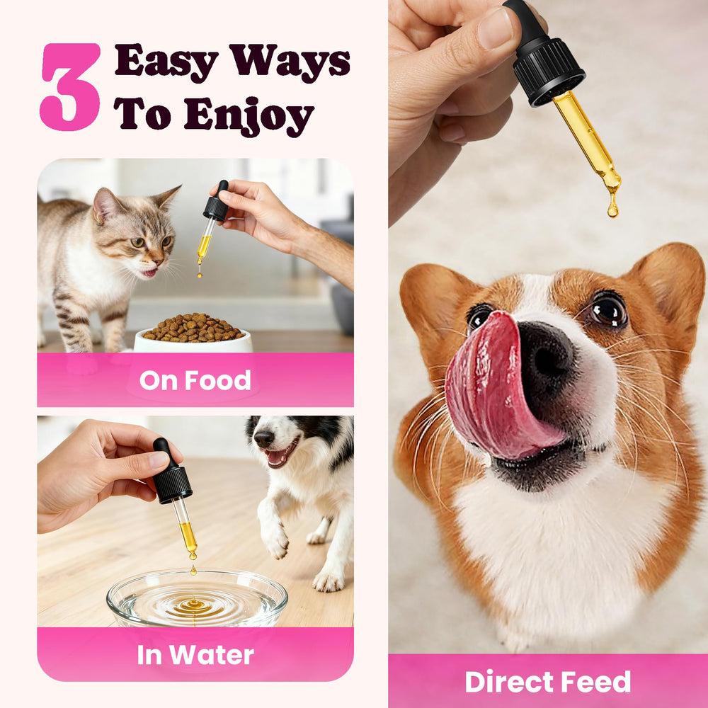 BuddyCheer Probióticos para flora intestinal de perros y gatos.