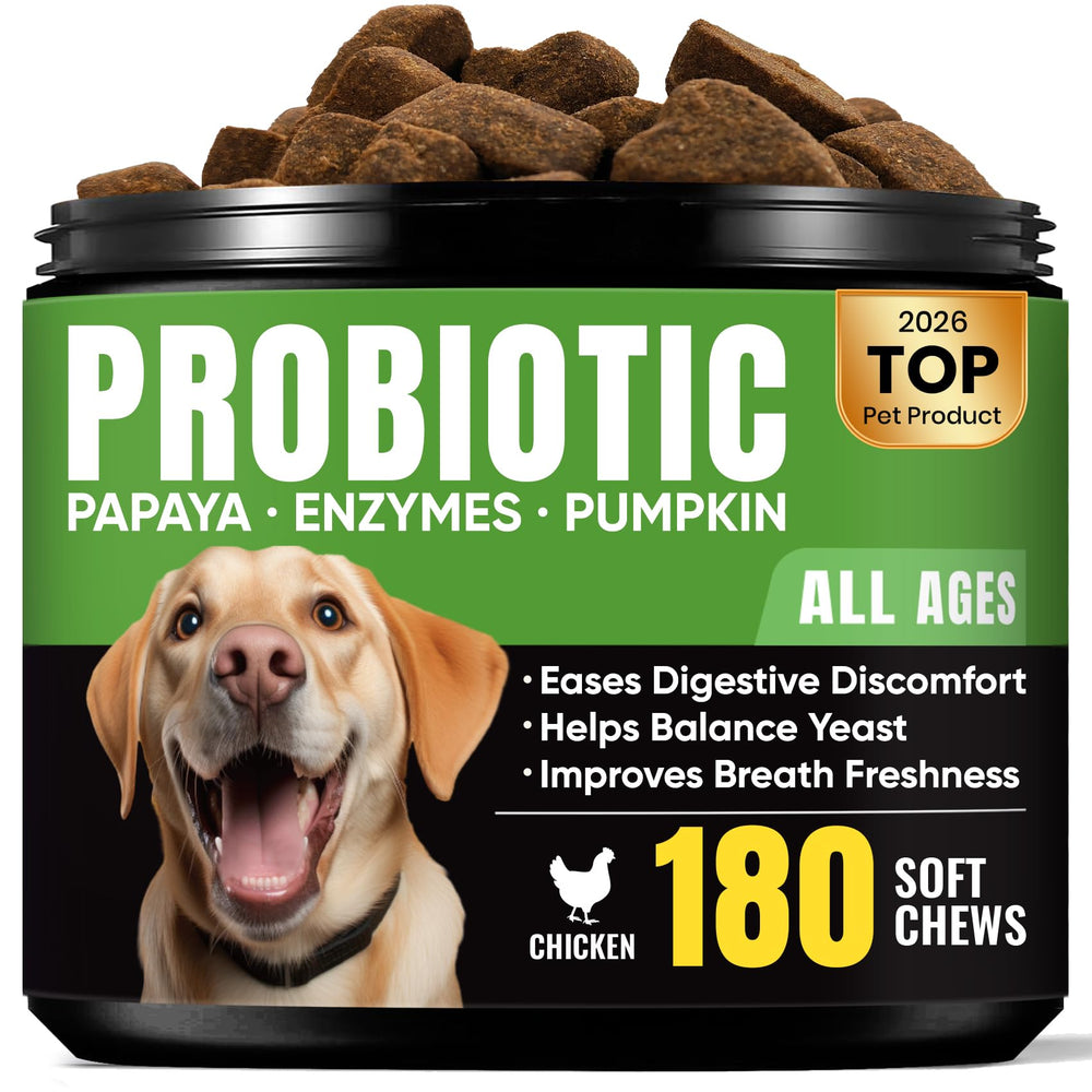 BuddyCheer Probióticos para perros: digestión estable para heces más firmes.