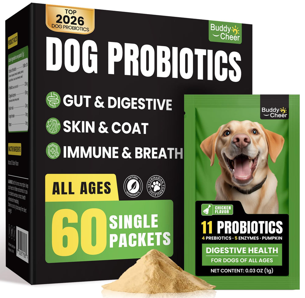 BuddyCheer probióticos para perros, dosis diaria fácil para salud digestiva