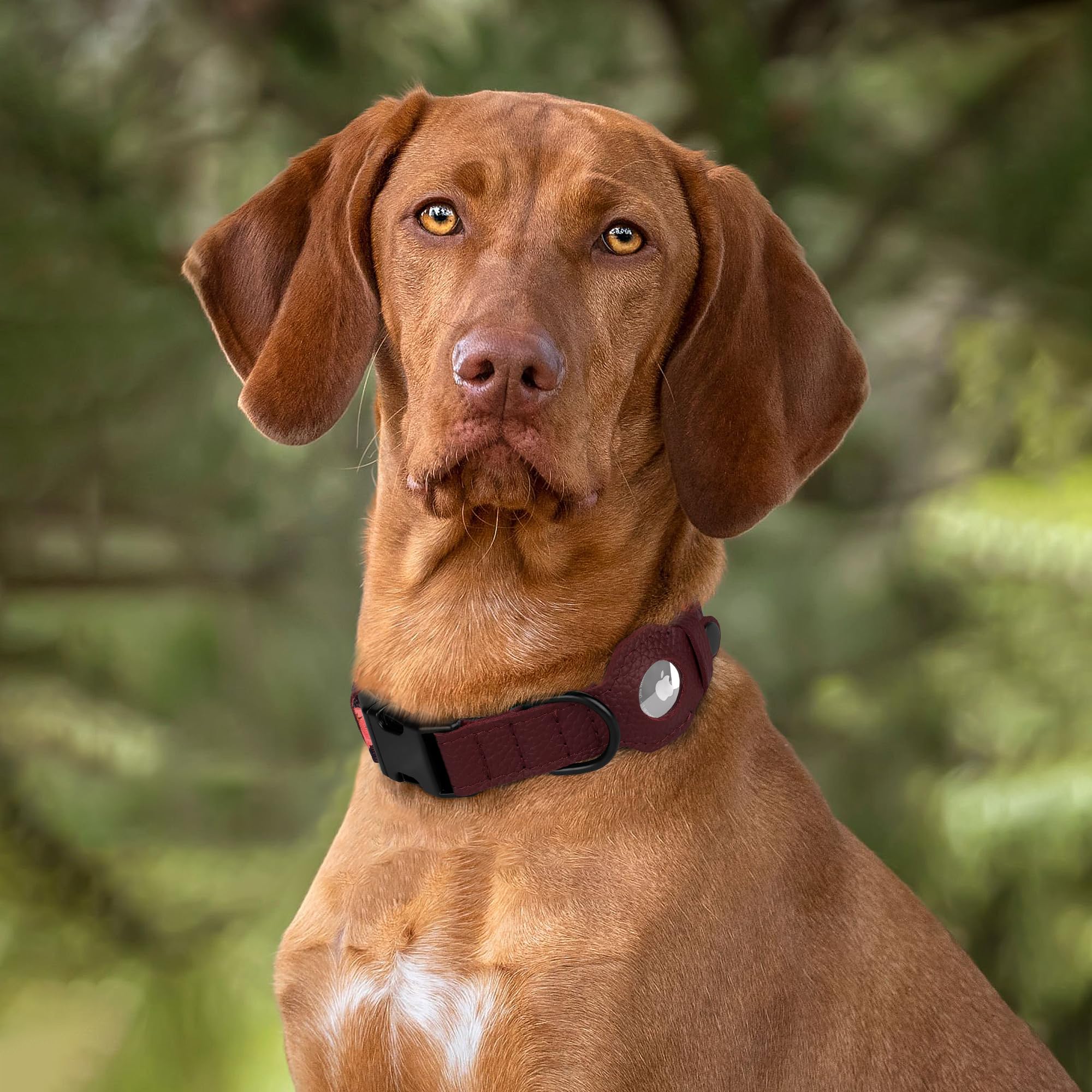 Collar AirTag de BUDKAS con diseño único para personalidad de la mascota