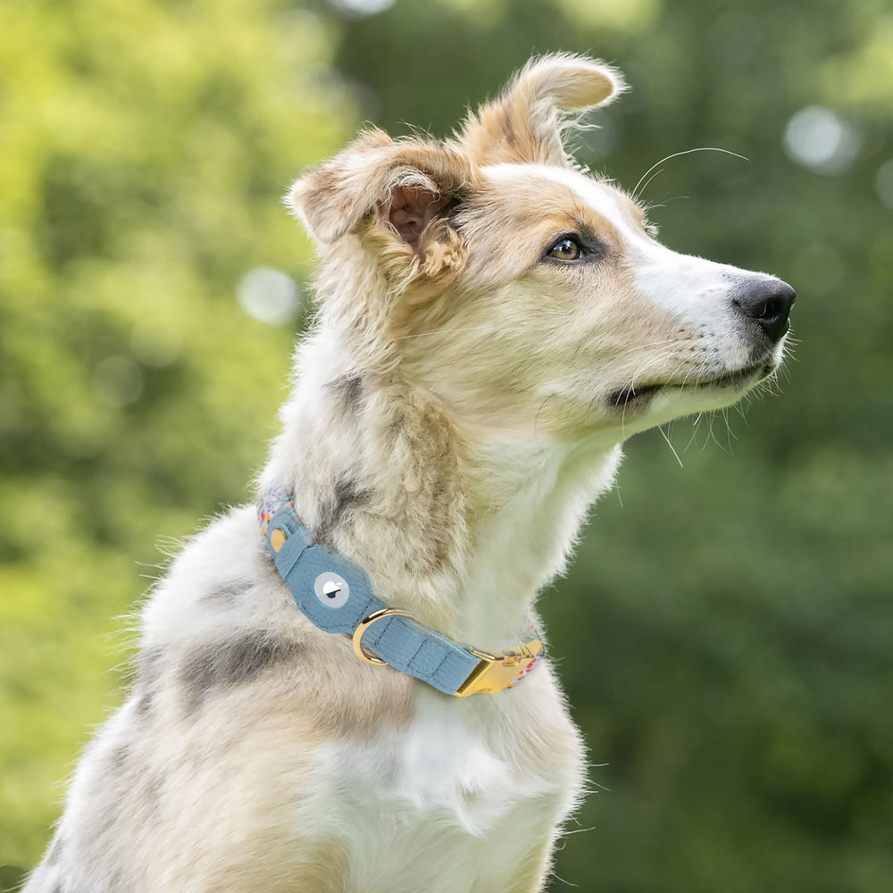 Budkas AirTag Collar Navajo: patrón único y localización sencilla.
