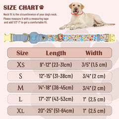 Budkas AirTag Collar Tribal: estilo único y seguridad durante caminatas.