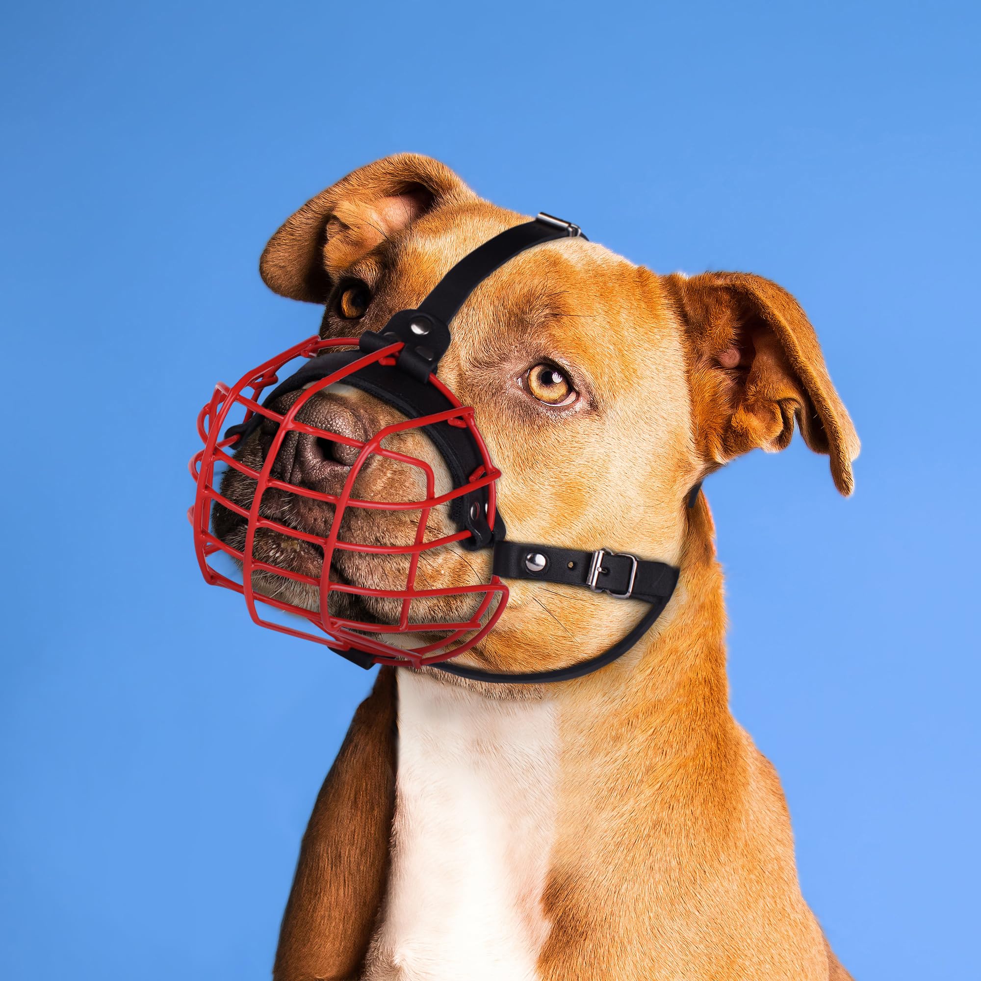 Budkas bozal diseño robusto para protección y control en perros grandes