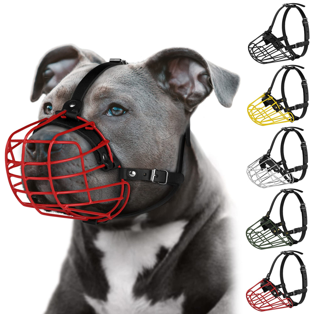 Budkas bozal Pitbull con máscara metálica y cesta de alambre para seguridad