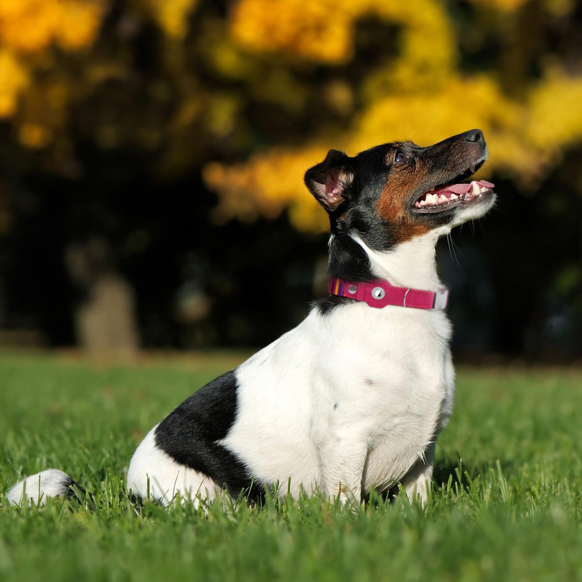 Budkas AirTag collar ajuste XS-XL para diferentes cuellos.