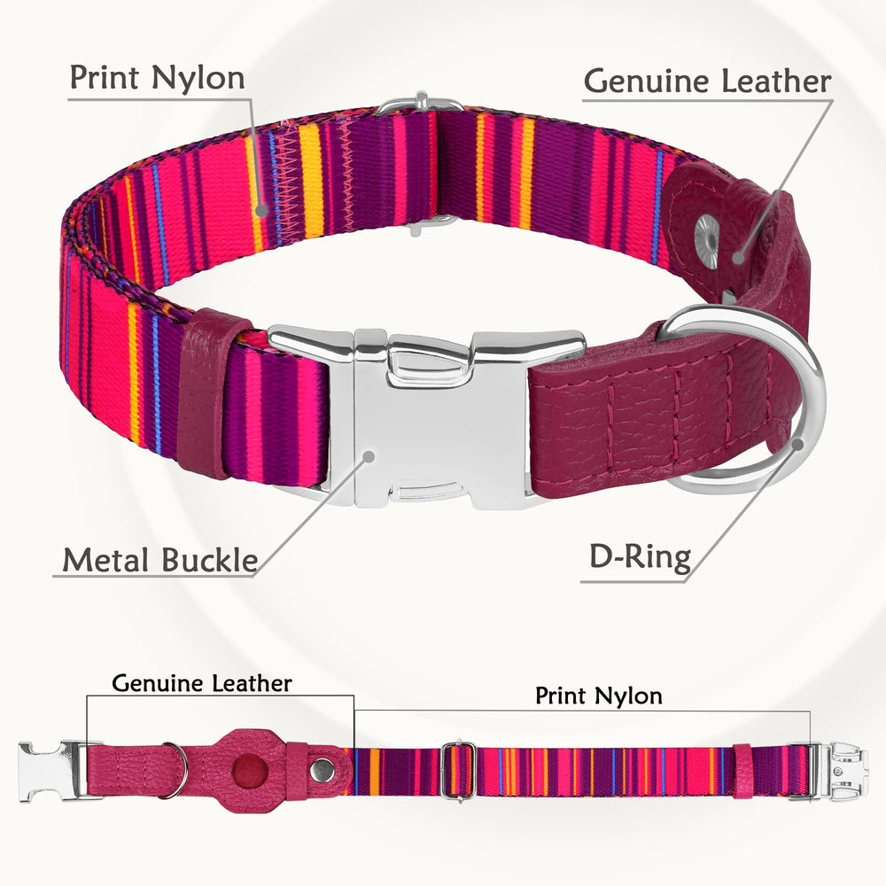 Budkas AirTag collar anilla D resistente para paseo robusto.