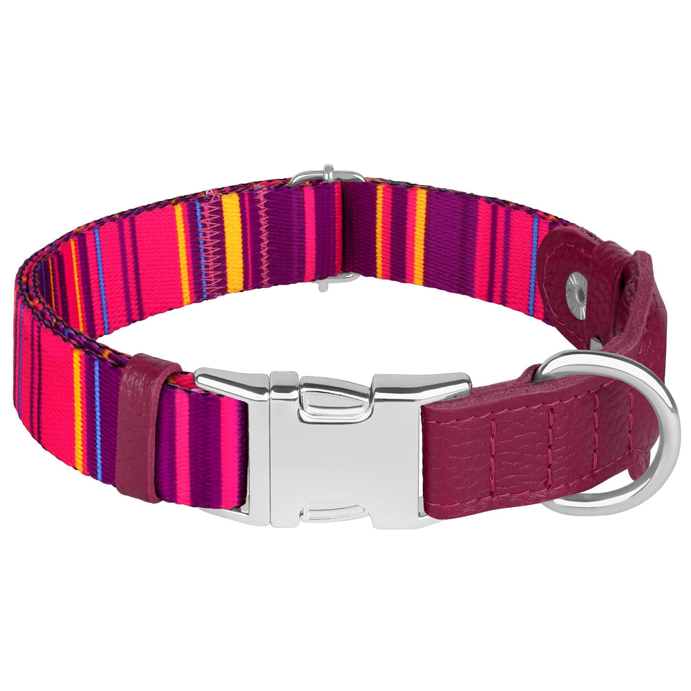 Budkas AirTag collar diseños únicos para personalidad de tu mascota.