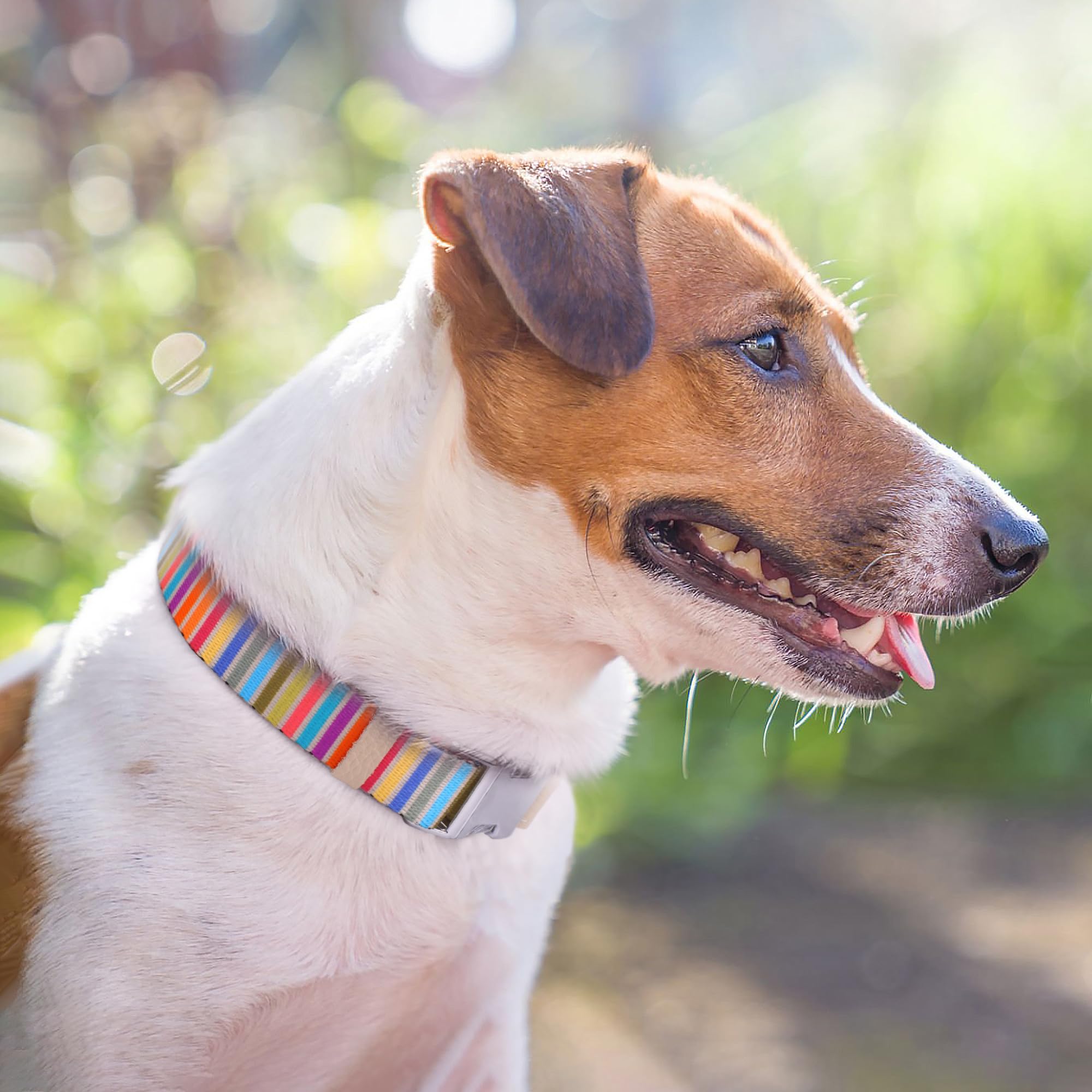 Collar Budkas AirTag Serape, patrón tribal llamativo para estilo diario.